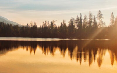 What is Conscious Creation?