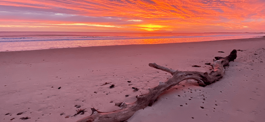 From Crisis to Consciousness: Reclaiming the Soul of Healing