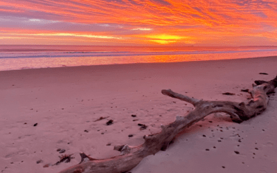 From Crisis to Consciousness: Reclaiming the Soul of Healing